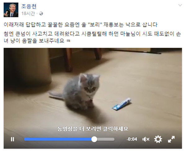 냥집사들 🐱 (사진 엄청많음 주의) | 인스티즈