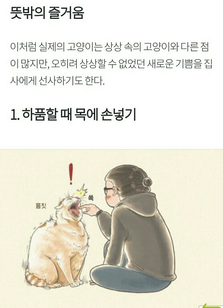 상상 속의 고양이 vs 실제 고양이 | 인스티즈