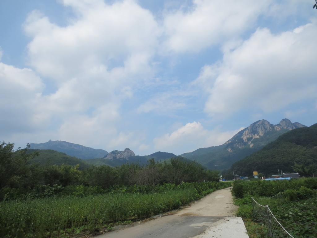 청림방 이미지