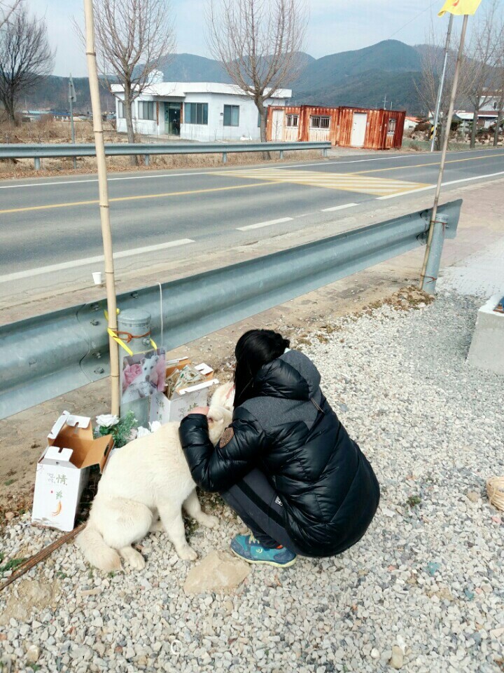 사랑하는 내 동생은 개소주가 되어서 돌아왔고 저는 개소주녀가 되었습니다 | 인스티즈