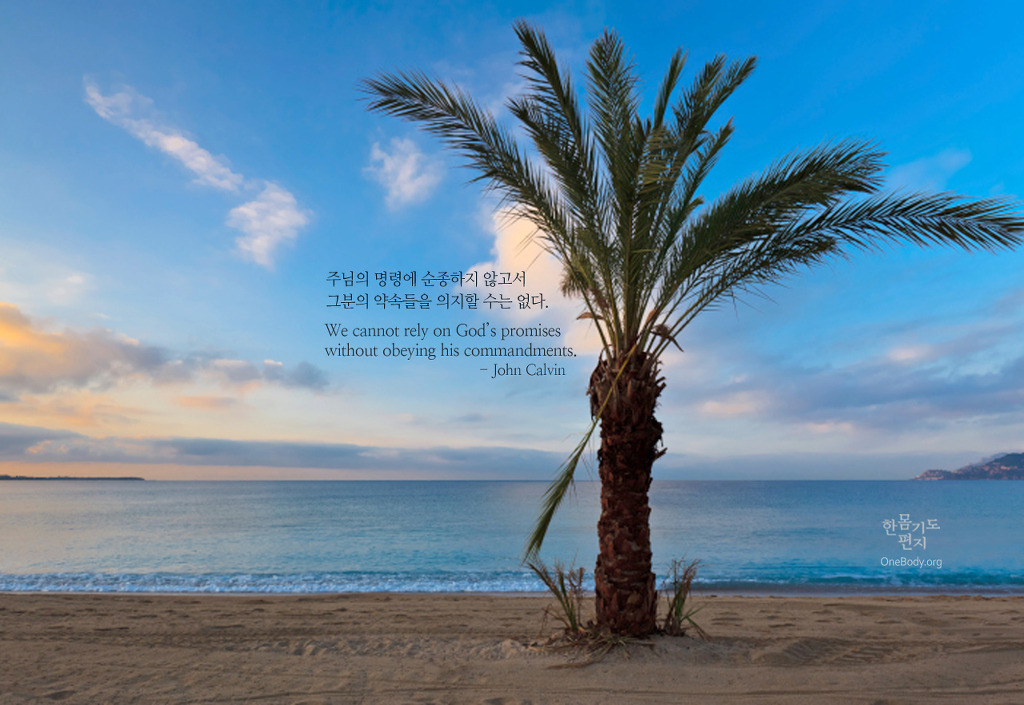 해걸음 이미지