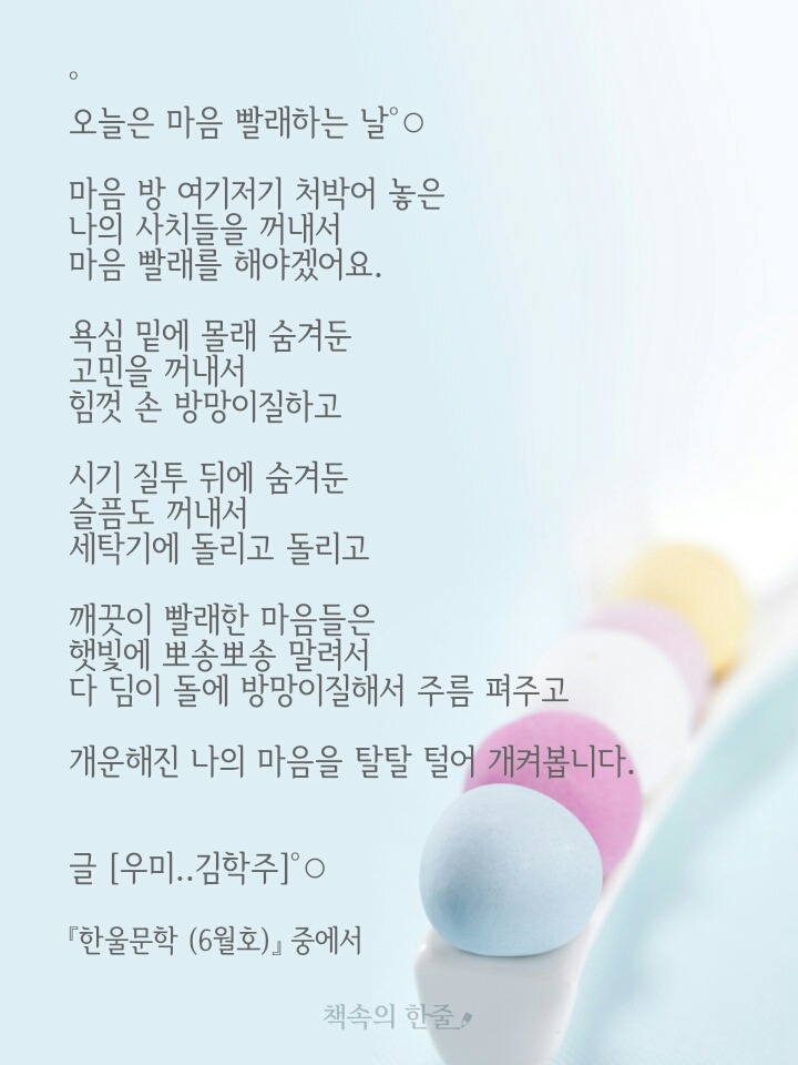 빨래하는날 이미지