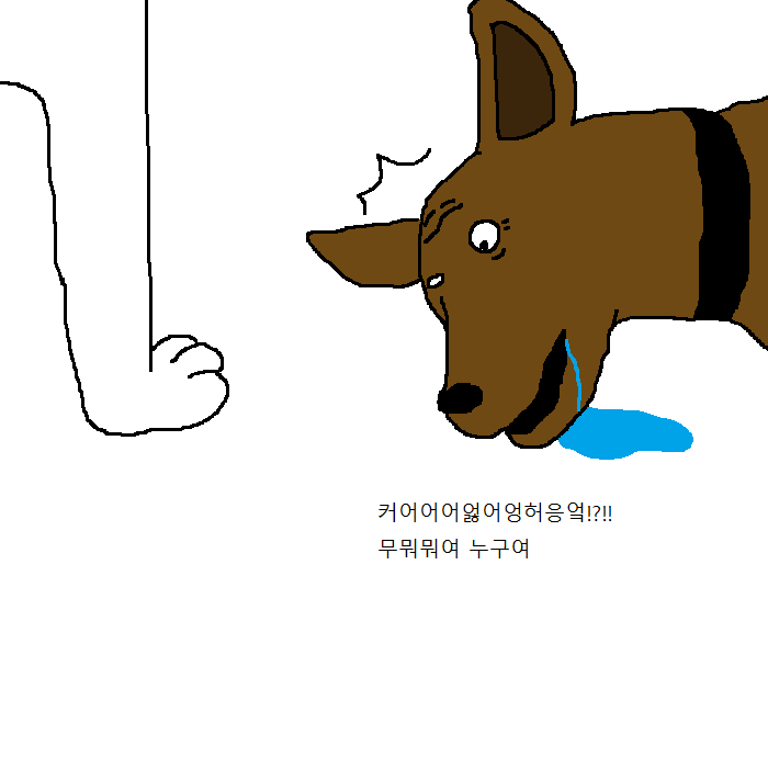 댕댕이의 운수좋은날.jpg | 인스티즈