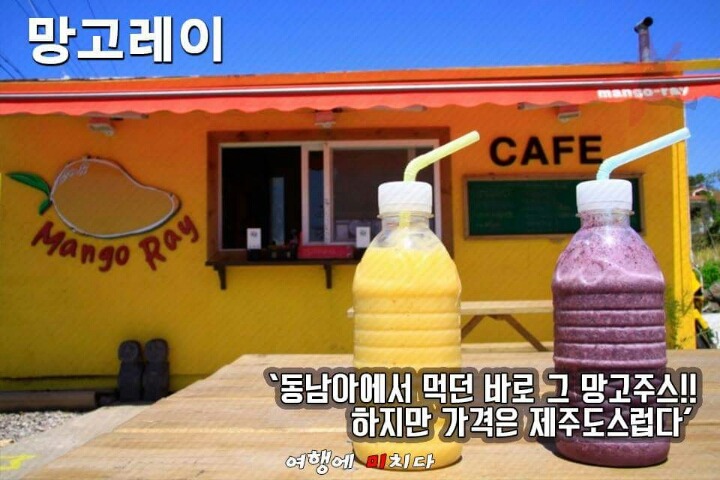 제주도 먹방 여행 | 인스티즈