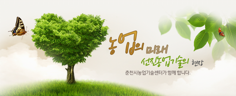농협중앙회춘천시지부 이미지