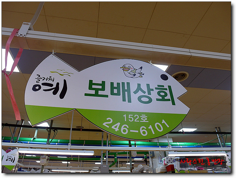 자갈치회센타 이미지