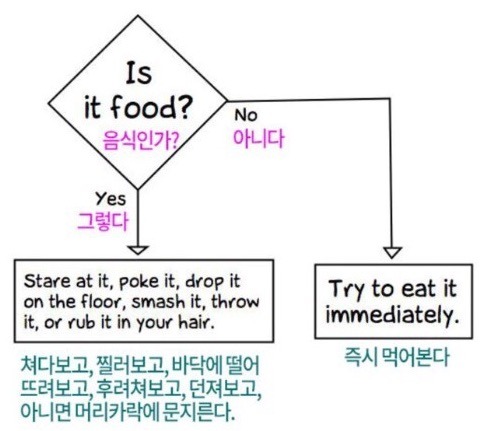 아기 알고리즘 | 인스티즈
