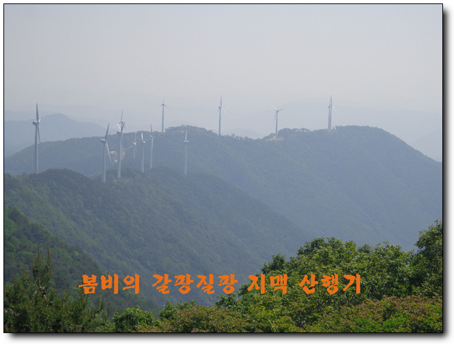 보현상사 이미지