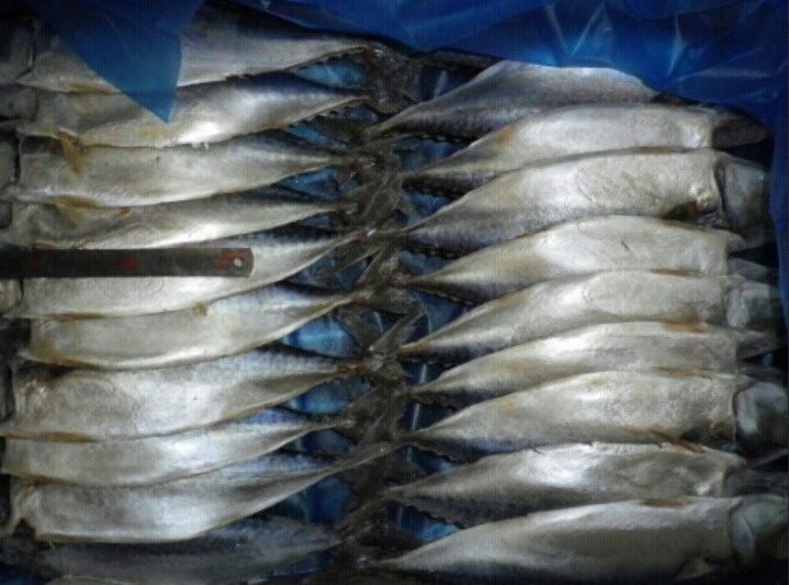 삼성수산식당 이미지