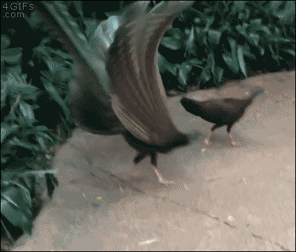 수시합격.gif | 인스티즈