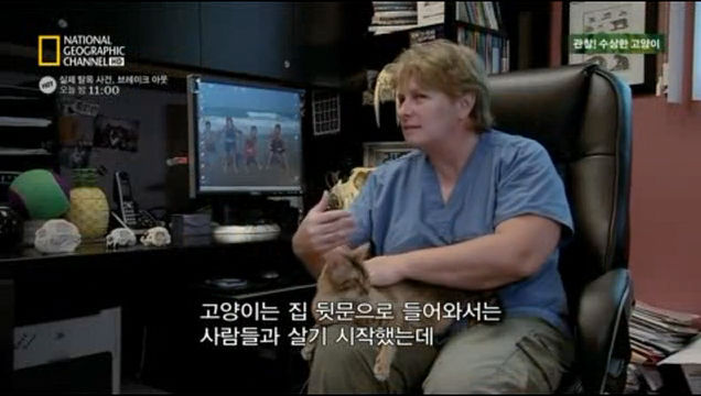 고양이와 다른 애완동물들의 차이점 | 인스티즈