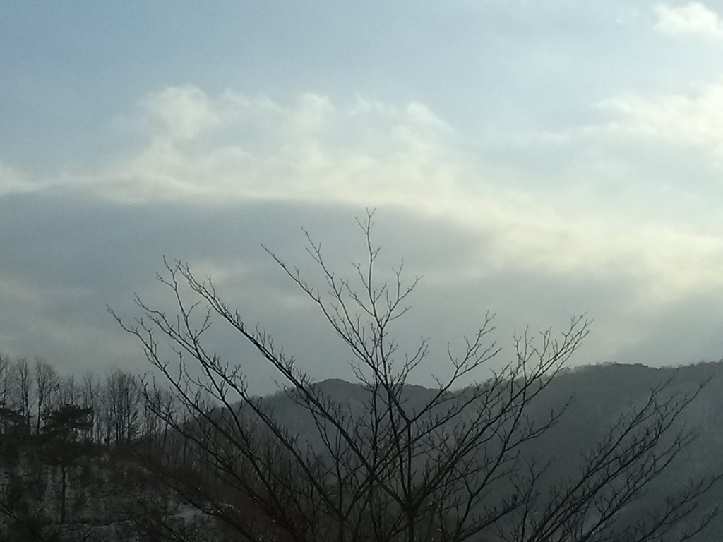 산목 이미지