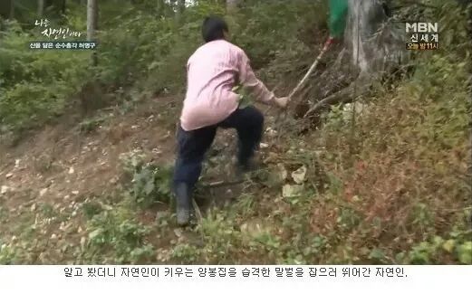 나는 자연인이다 레전드.JPG | 인스티즈