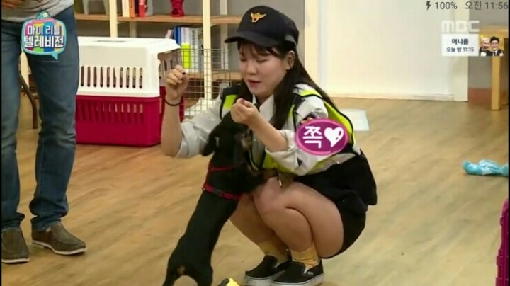 [마리텔] 강형욱 훈련사도 포기한 강아지 도비 | 인스티즈