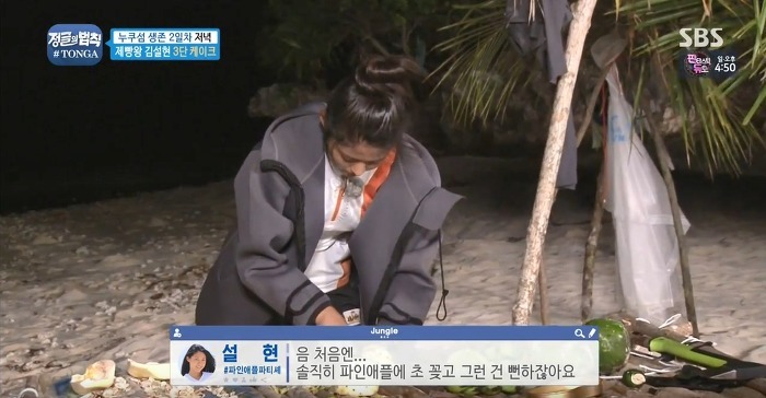 정글에서 생일을 맞은 찬성을 위해 설현이 만든 파인애플 3단케이크.jpg | 인스티즈