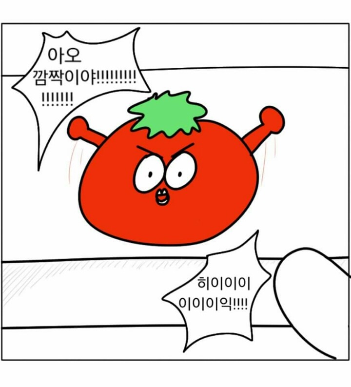 냉장고에 토마토 재워놨으니까 먹어 | 인스티즈