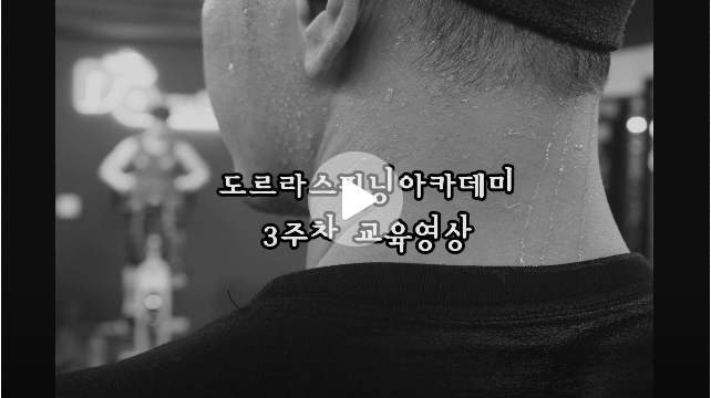 도르라핏 이미지
