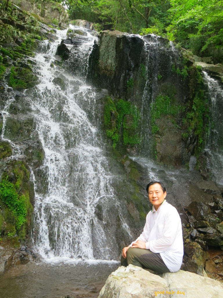 숲테라피 이미지