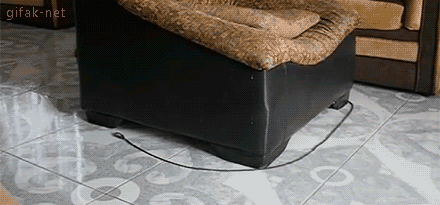 자신과의 싸움 .GIF | 인스티즈