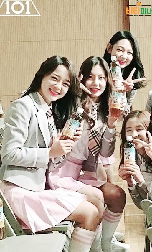 프로듀스101 갤러리 초반부 김세정에 대한 개념글 | 인스티즈