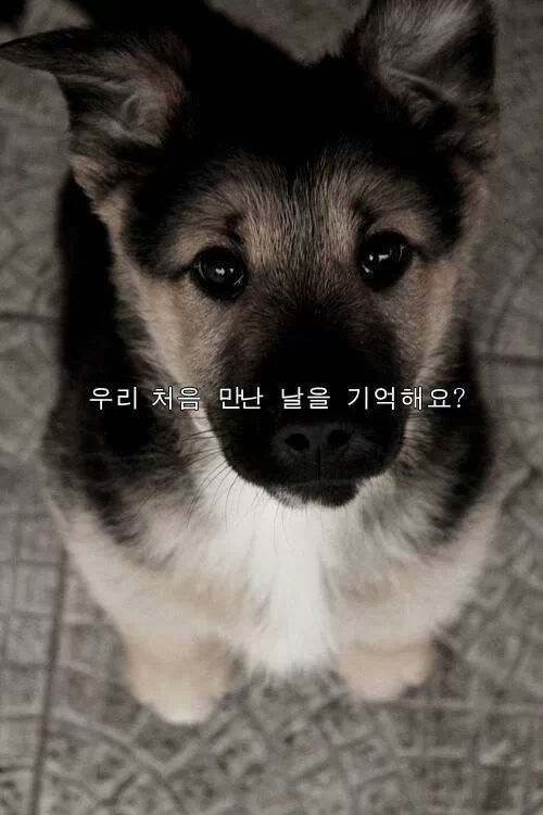 추억만들기 이미지