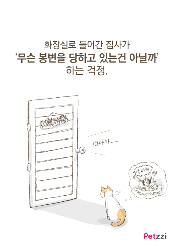 고양이가 화장실 앞에서 기다리고 있는 이유? (만화) | 인스티즈