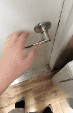 퇴근 후 고양이와 개 반응.gif | 인스티즈