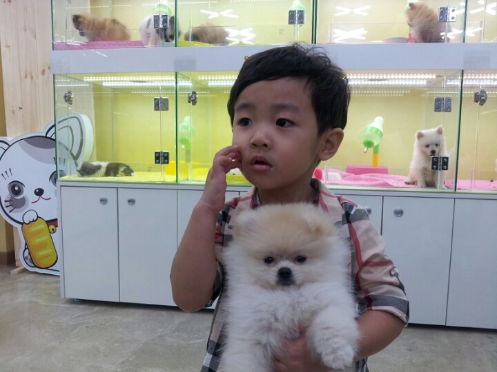 개똥이 이미지