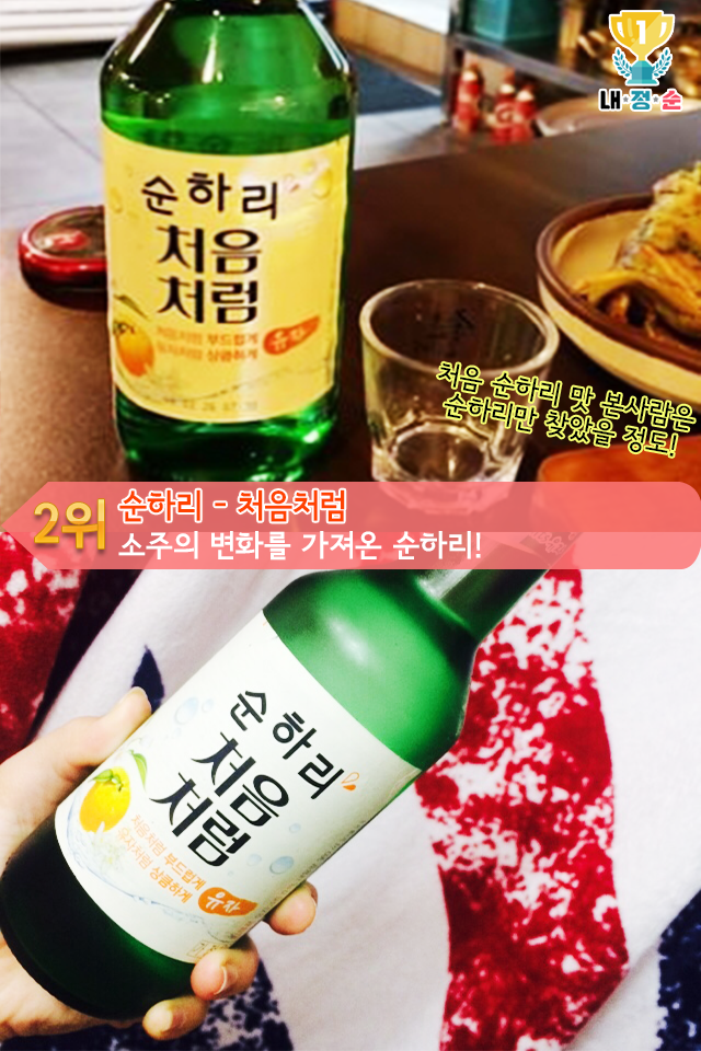 여대생들이 즐겨마시는 맛있는 소주Best7 | 인스티즈