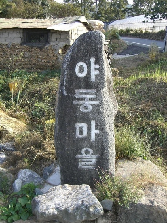 2016년 첫 야동 | 인스티즈