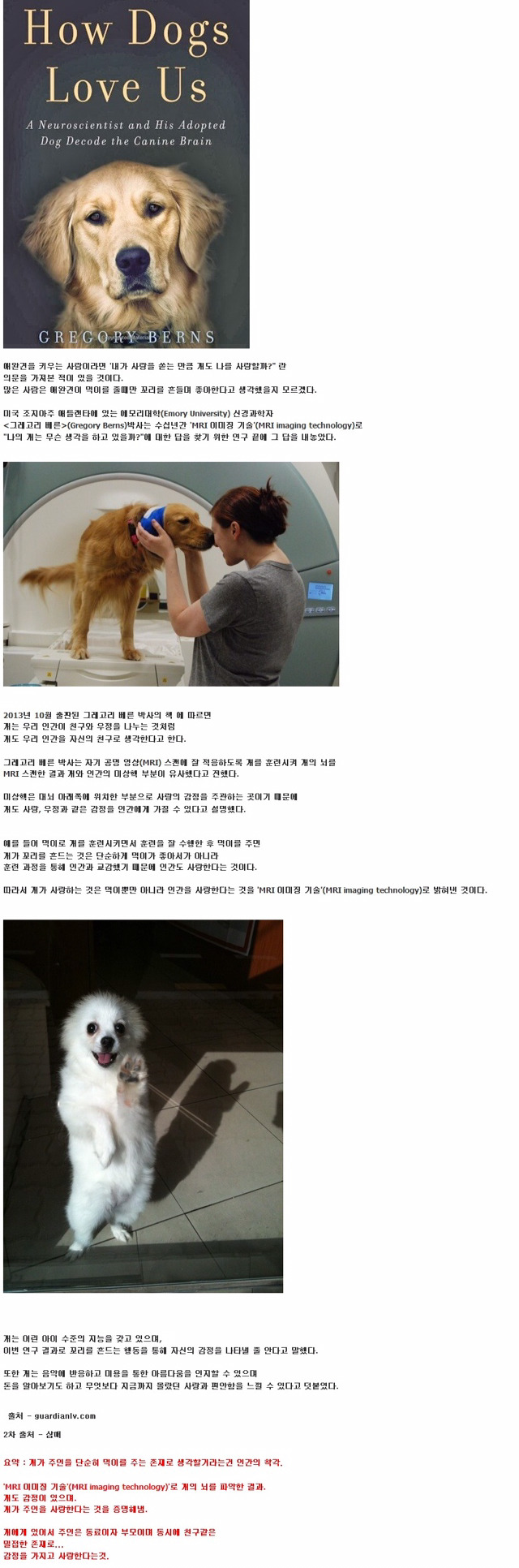 개는 정말로 주인을 사랑할까? | 인스티즈