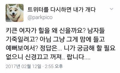 우문현답 이미지
