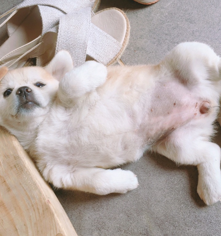 재업로드된 짱절미 사진 모음집.jpg(사진29장) | 인스티즈