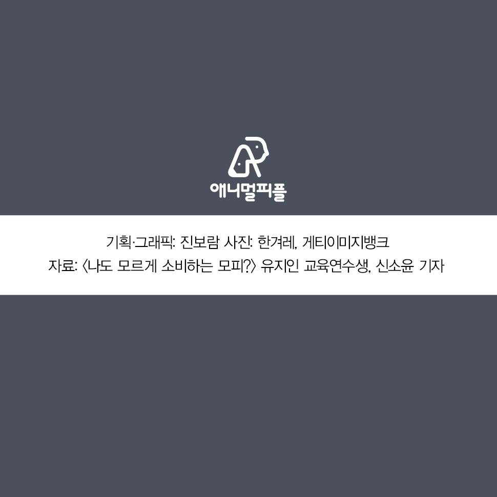 ??? : 아니 ㅅㅂ 말 못하는 강아지를 왜 때려...무슨 죄가 있다고... | 인스티즈