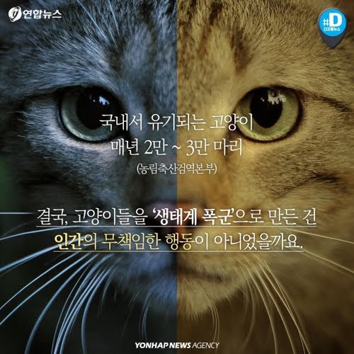 북한산을 접수한 고양이들...jpg | 인스티즈