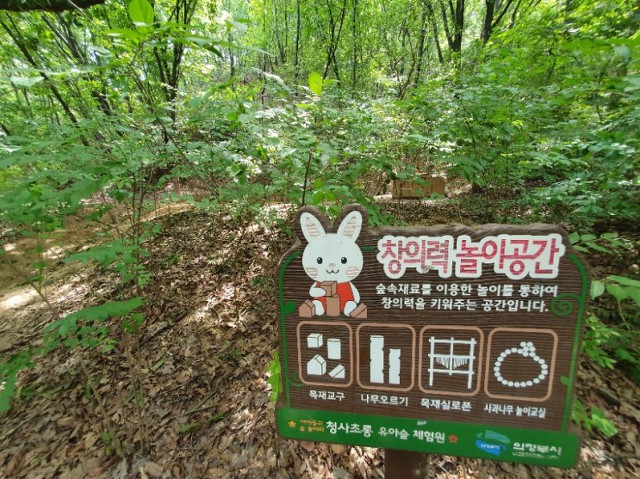 청사초롱 유아숲체험원 이미지