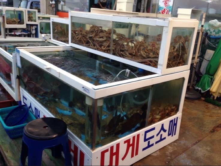 돌섬횟집 이미지