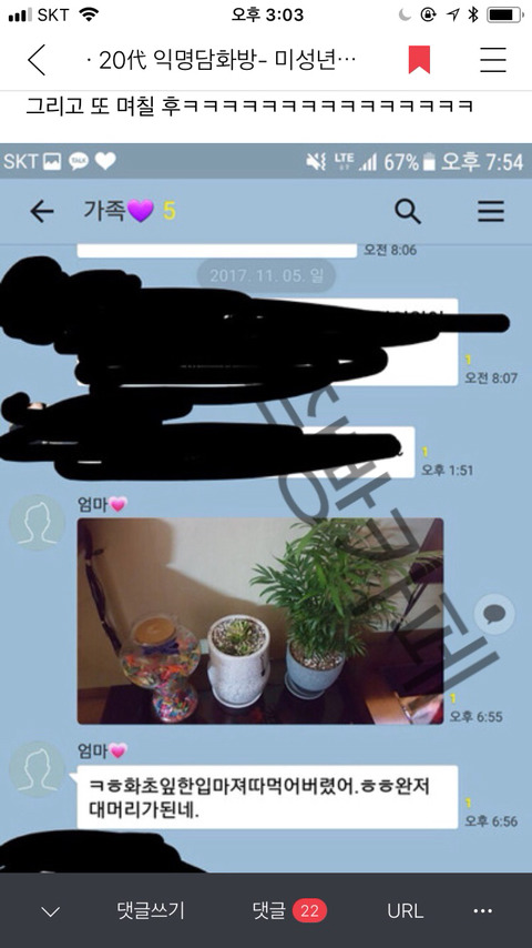 [익웃] 댕댕이가 어머님이 키우시는 산세베리아 뜯어먹음 | 인스티즈