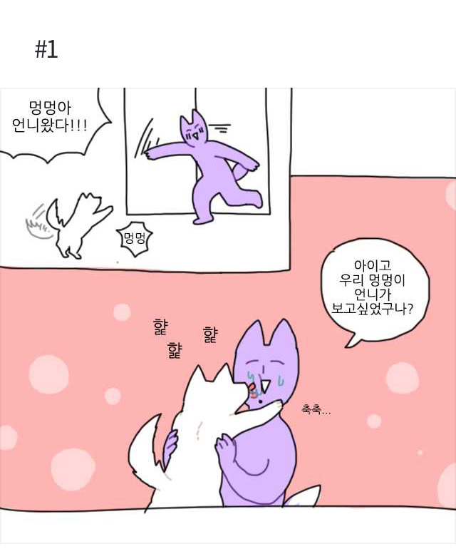 댕댕이 맘들은 다 똑같아 | 인스티즈