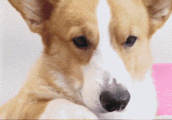 소개팅앱의 사진을 믿으면 안되는 이유 | 인스티즈
