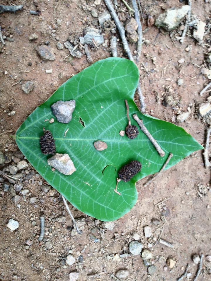 주사랑어린이집 이미지
