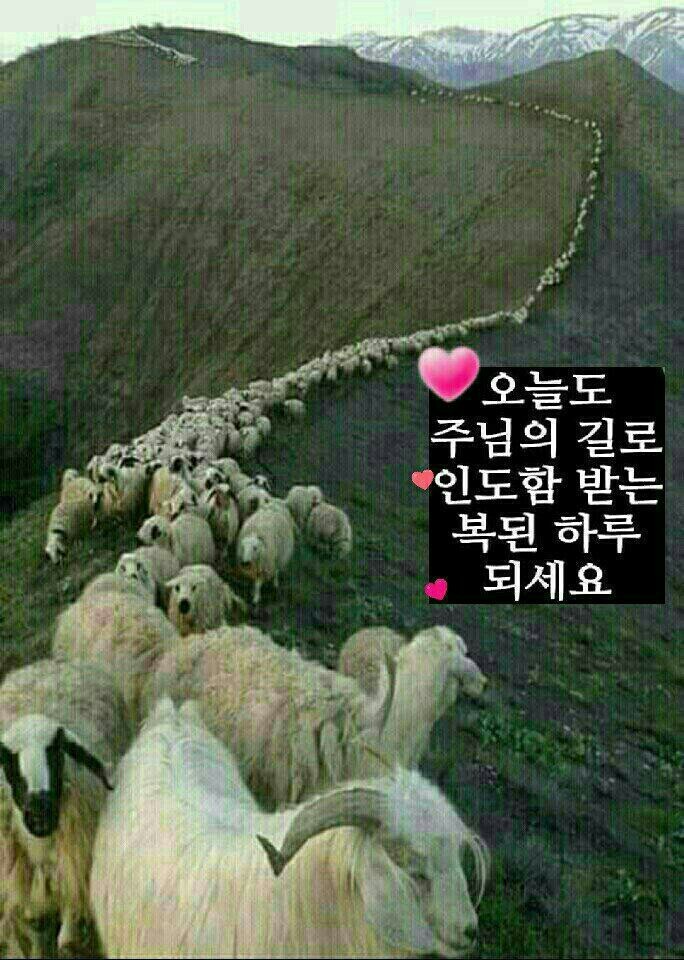 육이 이미지