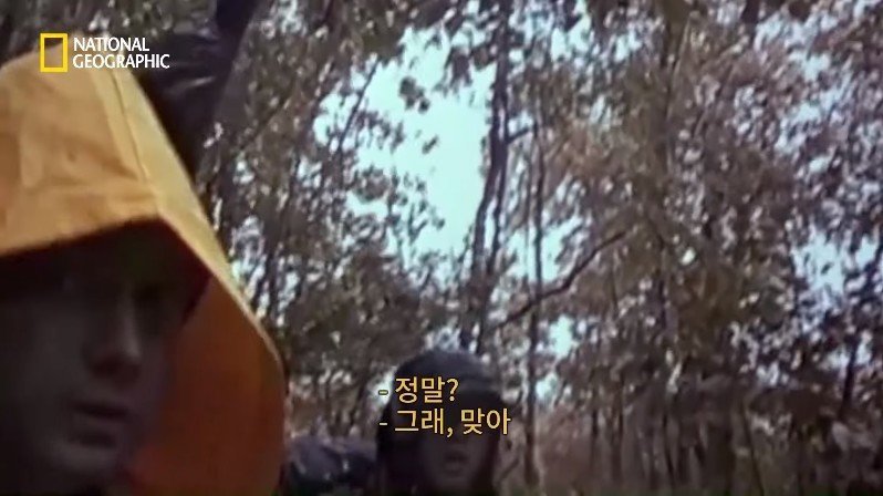 1999년, 새로운 장르의 공포영화가 인터넷을 통해 홍보되다 | 인스티즈