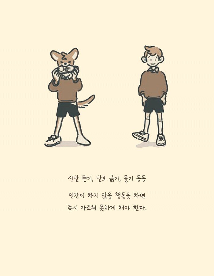 인간으로 환생하려는 동물들의 학교.jpg | 인스티즈
