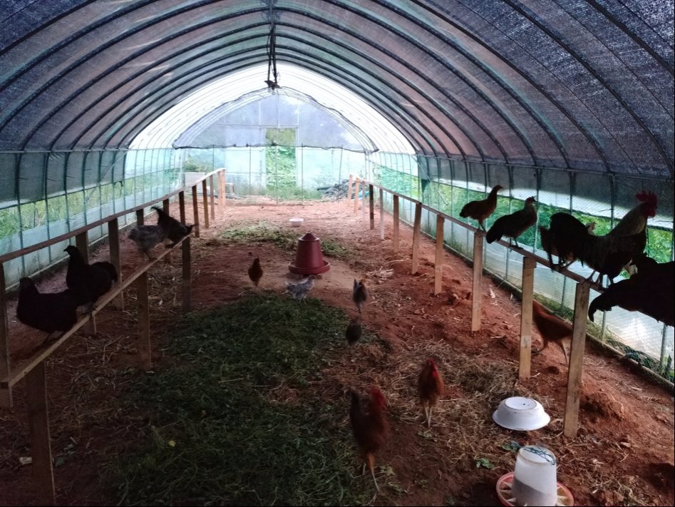 도심에서 즐기는 전원생활 | 인스티즈