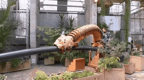 한국사람은 절대 못타는 놀이기구 | 인스티즈