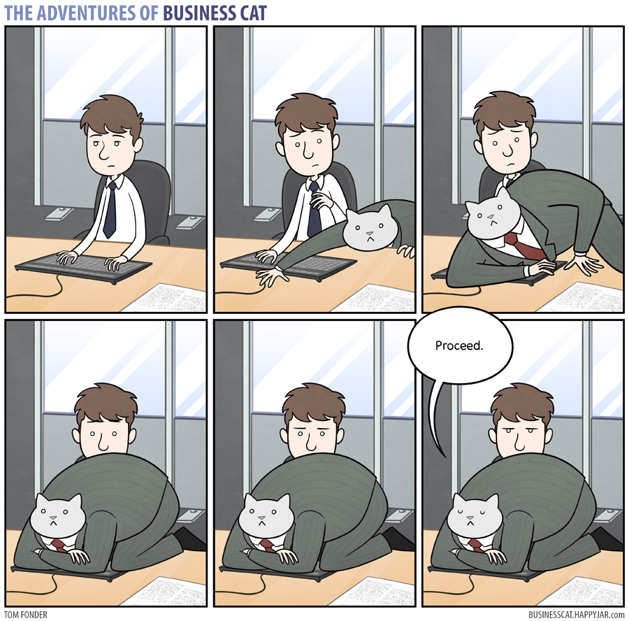  고양이 보스 | 인스티즈