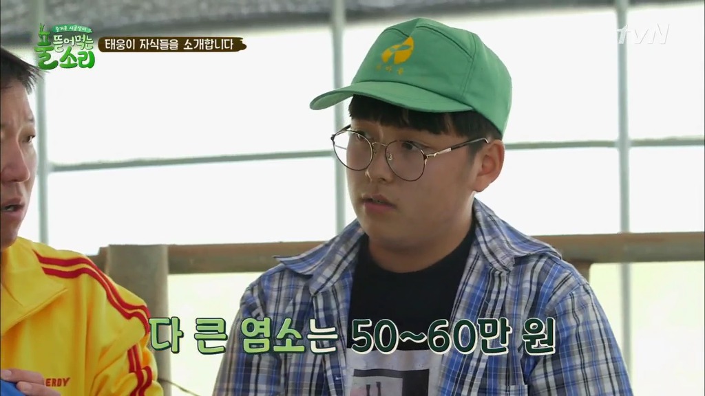 [풀뜯어먹는소리] 닭에서 시작해 소까지 살 수 있게 된 중딩농부 태웅.jpg | 인스티즈
