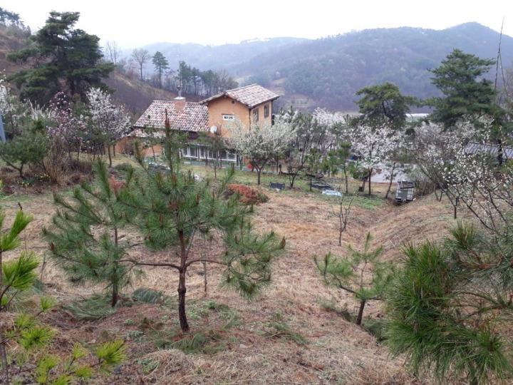 함박골 이미지