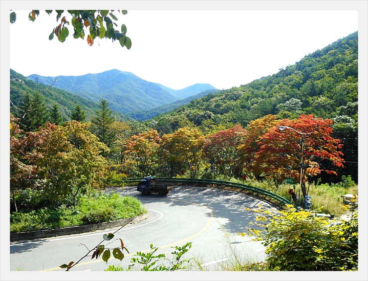 속리산말티재자연휴양림 이미지